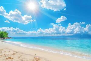 beach scene near sunny ocean and sandy shoreline, photo