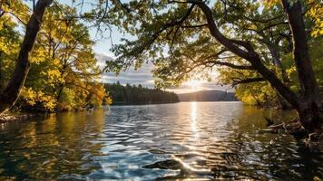 a large body of water with some leaves on the trees in front, photo