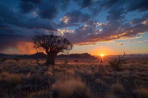 the sun shining through some clouds over an african landscape, photo