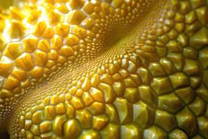this is a close up shot of an artfully designed piece of food, photo