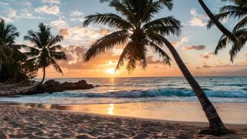 the sun sets behind tropical trees on an island, photo