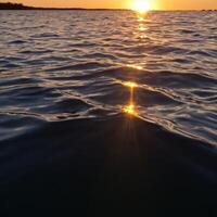 water and waves are in the sun setting, photo