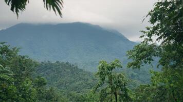 the view of mountains that are in front of trees, photo