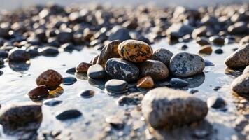 pebbles are scattered on the beach next to water, photo