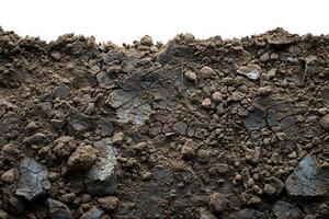 there is some dirt and grass by itself, photo