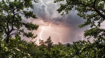 a very bright lightning bolting through some trees in the woods on the left, on dark clouds, photo