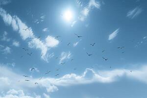the birds are in formation high up in the sky above, photo