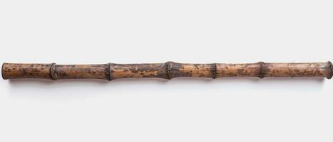 there is a small stick with bark on it, photo