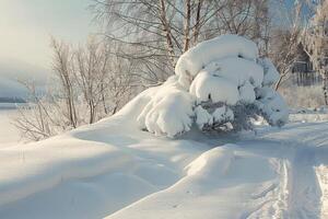 a lone tree is covered with snow near the water, photo