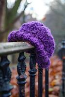 purple wool hat on fence rail during autumn, photo