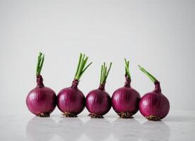 small onions are lined up in a line on a counter, photo