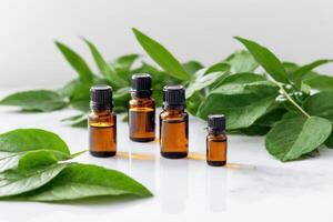 herbs with essential oil on marble table, photo