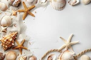 a pile of seashells next to an empty canvas, photo