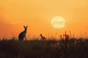wildlife in the background under a sunset, photo