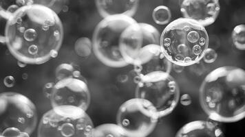 many bubbles flying in the air, photo