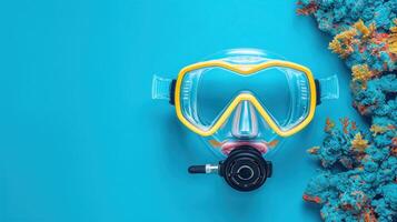 the view from above into the water shows a snorg's mask and coral, photo