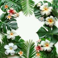 the plants are arranged in a shape of a heart, photo