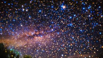 stars above trees and trees with a sky background, photo