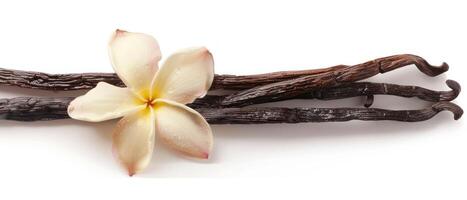 an object that looks like vanilla and pods, photo