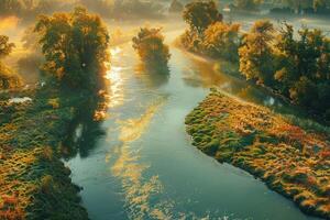 an aerial view of trees and water on a foggy morning, photo
