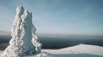 Winter mountain view from a bird's-eye view. Clip.Big mountains under snow and ice on a snowy mountain and a green forest with tall trees is visible below. video