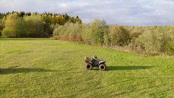 Green summer field .Clip.A view from a drone for a walk with quads riding on a bright day field near a forest. video