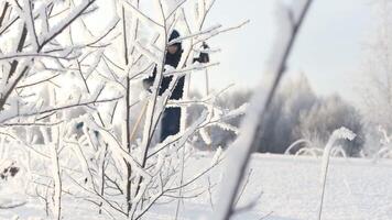 Winter white background. Creative . A view of small trees and twigs that stand in the inii and snow and a man on skis who is walking along the highway is visible from behind video