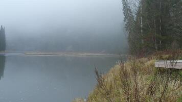 Top view of misty lake with green forest. Clip. Beautiful and mysterious lake with fog on cloudy day. Romantic frightening lake with dense fog and forest video