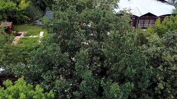 Aerial view of a green bushes and trees and a building behind. Stock footage. Summer countryside landscape with a wooden house. video
