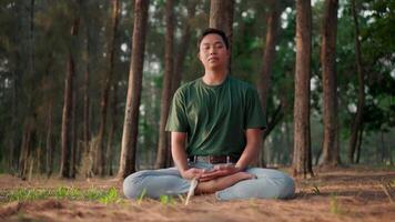 A man meditates to relax and keep his mind calm after being stressed out from working in the park. Smiling while doing yoga on the grass video