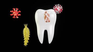 protection of teeth from germs 3d animation video