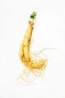 Fresh Ginseng Root on a white background. Vibrant and organic.. photo