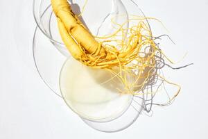 Abstract cosmetic laboratory. Ginseng in Petri Dishes photo