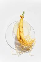 Abstract cosmetic laboratory. Ginseng in Petri Dishes photo