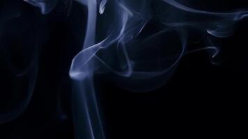 Ghostly tendrils of smoke twist and turn creating a hypnotic and mysterious visual.. video