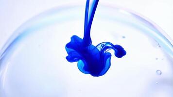 A soothing and meditative scene as ink elegantly blooms and expands creating a serene watercolor effect.. video
