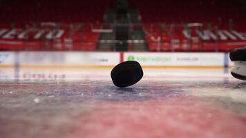 Close up of a hockey puck falling on ice. Action. Close up of ice rink and hockey skate of a player, beginning of a game. video