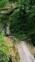Stunning view of the waterfall in jungles. Creative. Green trees and waterfall on a summer day. video