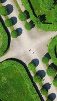 Top view of geometric patterns of old garden. Creative. Beautiful garden with smooth paths and green lawn. Geometric patterns in garden at manor or palace video