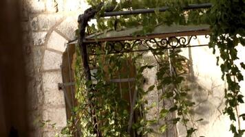 Old stone house with green ivy and lichen on the black metal porch. Creative. Green vegetation in front of the wall of an ancient building. video
