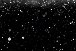 White Snow Bokeh on Black Background - Snowfall Design Element photo