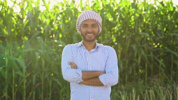 Portrait of indian farmer on corn field before harvest video