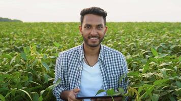 Portrait of indian farmer with tablet on a soybean field video