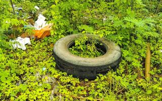 Waste garbage pollution car tires packaging in tropical jungle nature. photo