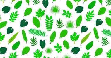 Green tree leaf Pattern Background illustration. vector