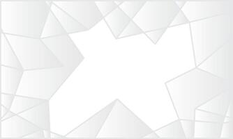 Abstract geometric white and gray color background vector