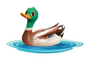 Cartoon duck floating on water. Illustration isolated on white background vector