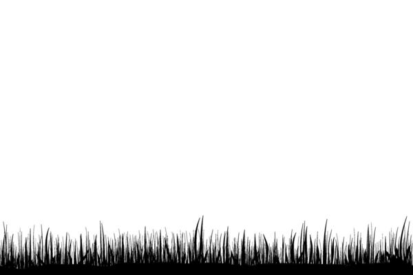 meadow silhouette with long grass