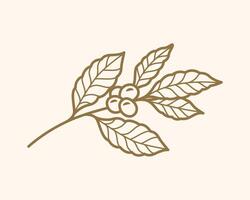 Coffee Branch with Leaf and Beans vector
