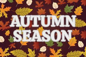 Autumn season. Greeting card with bright autumn leaves on a dark background. Design element for Thanksgiving, harvest. vector